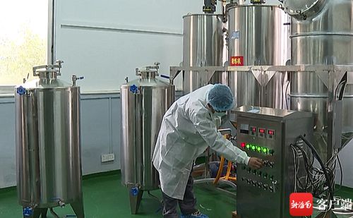 五指山油茶加工廠升級設備，榨出“致富油”助推鄉(xiāng)村振興