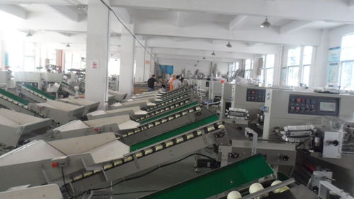 新科力冰糖橙套袋包裝機 建筑材料領域的精品橙子包裝解決方案